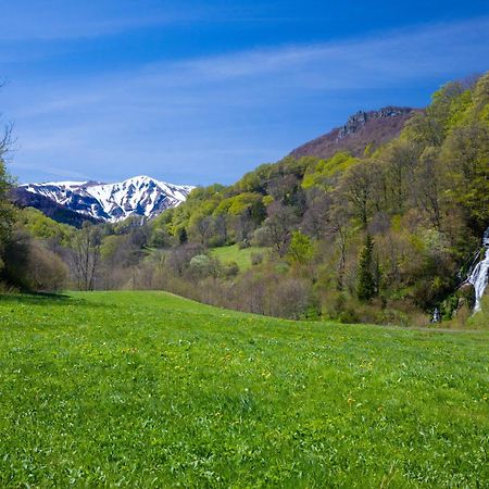 La Dormeuse Du Val Villa Chambon-sur-Lac Exteriör bild