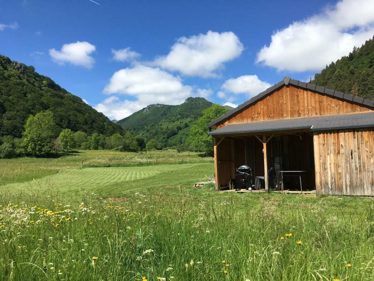 La Dormeuse Du Val Villa Chambon-sur-Lac Exteriör bild