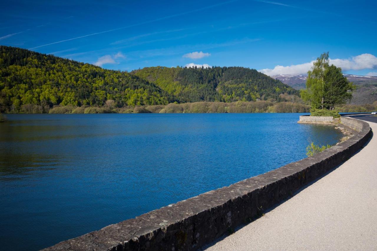 La Dormeuse Du Val Villa Chambon-sur-Lac Exteriör bild