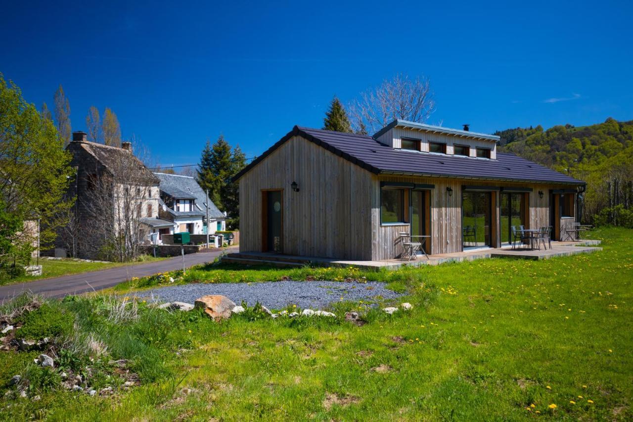 La Dormeuse Du Val Villa Chambon-sur-Lac Exteriör bild