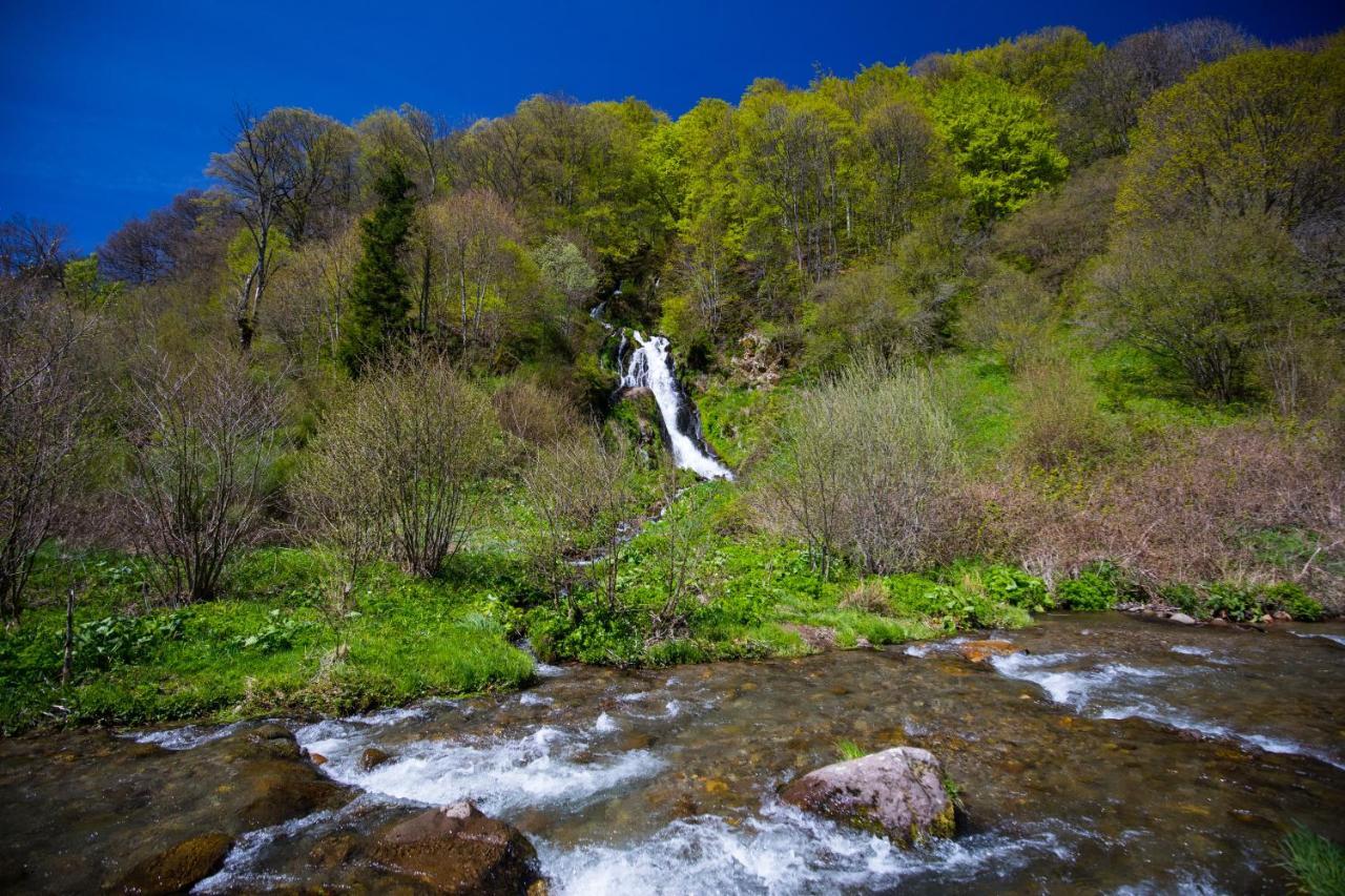 La Dormeuse Du Val Villa Chambon-sur-Lac Exteriör bild